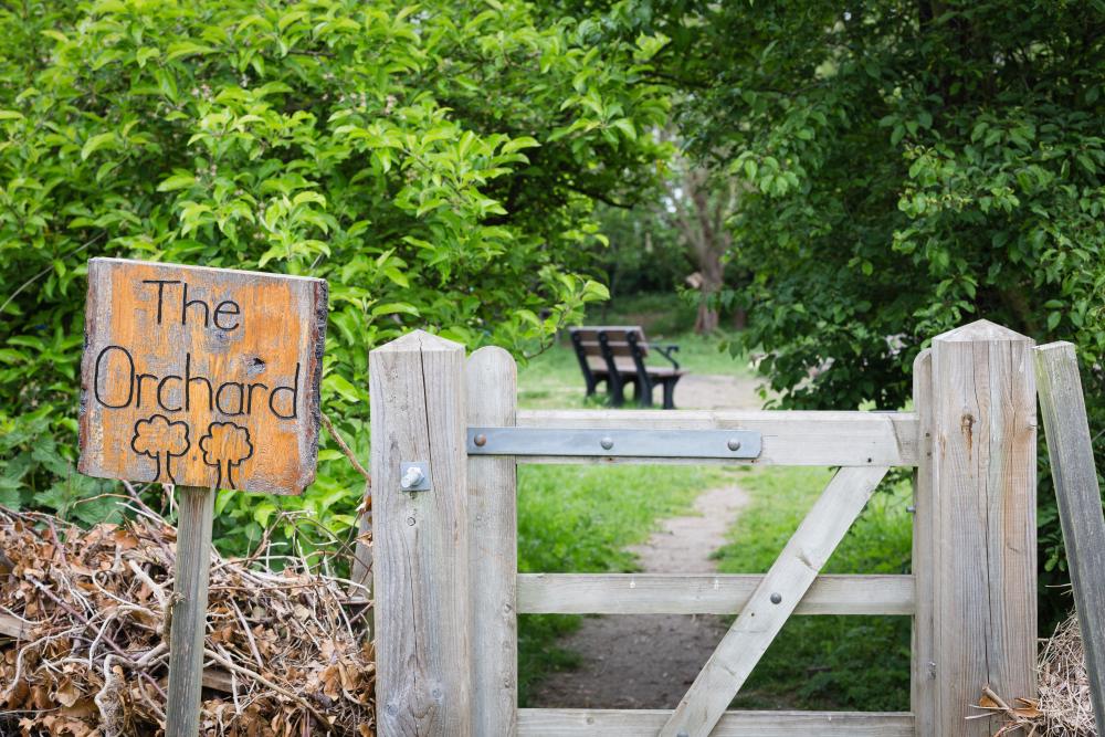 Children Nursery - Growing up naturally