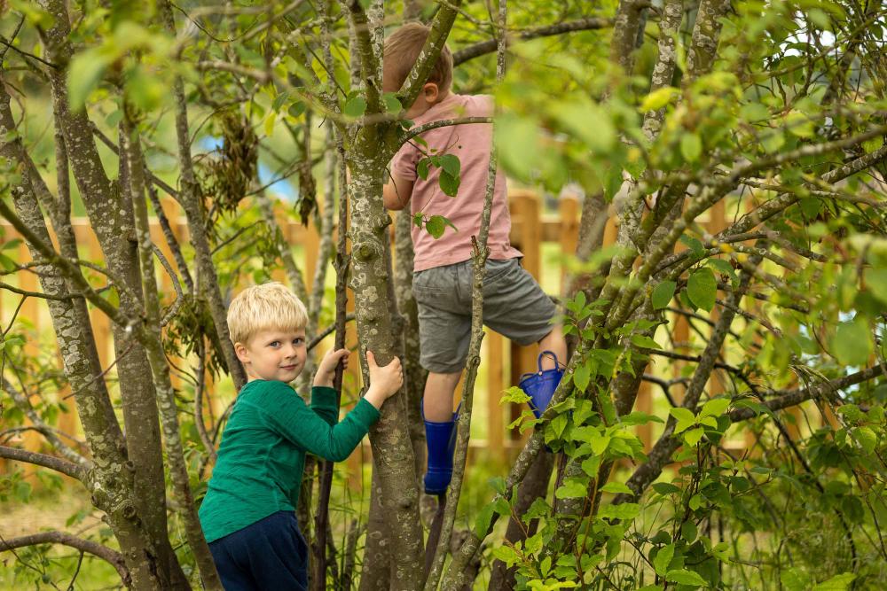 Children Nursery - Growing up naturally